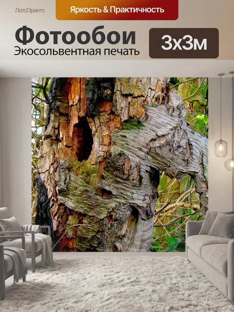 Фотообои Дерево