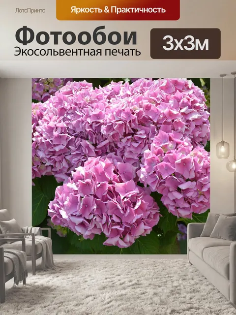 Фотообои Цветы