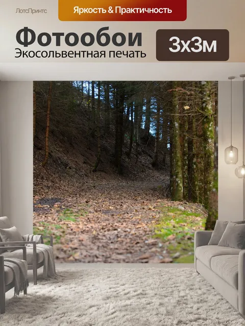 Фотообои Лесная тропа