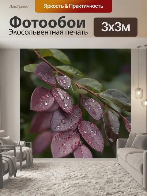 Фотообои Роса