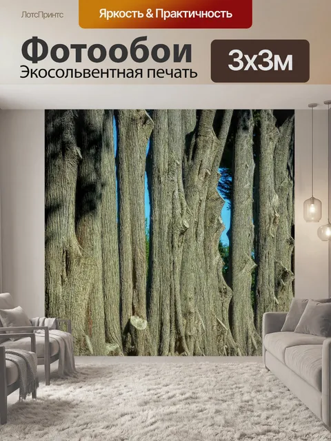 Фотообои Рабочий стол