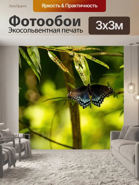 Фотообои Черный ласточкин хвост