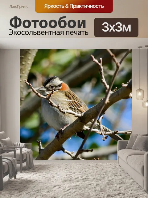 Фотообои Птица