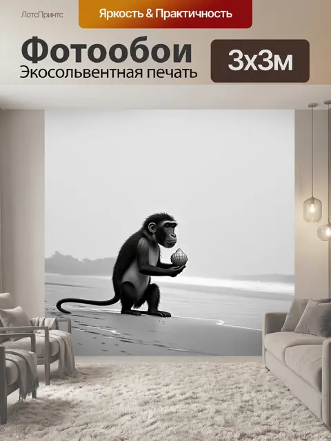 Фотообои на безлюдном пляже, окутанном легким туманом, черная обезьяна исследует бережок, держа в руках ракушку