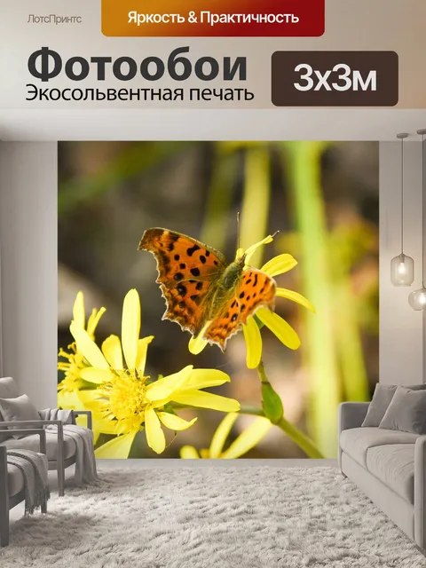 Фотообои Бабочка