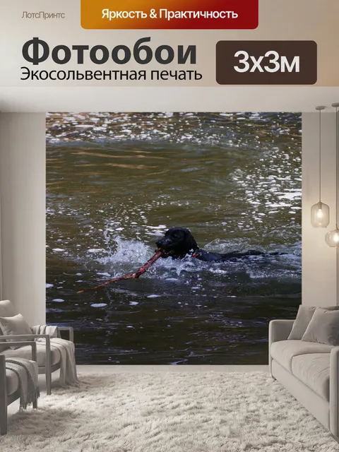 Фотообои Собака