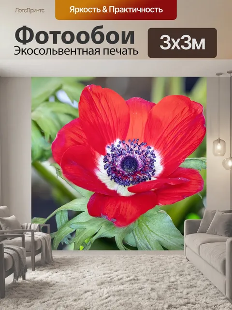 Фотообои Цветы