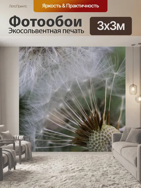 Фотообои Одуванчики