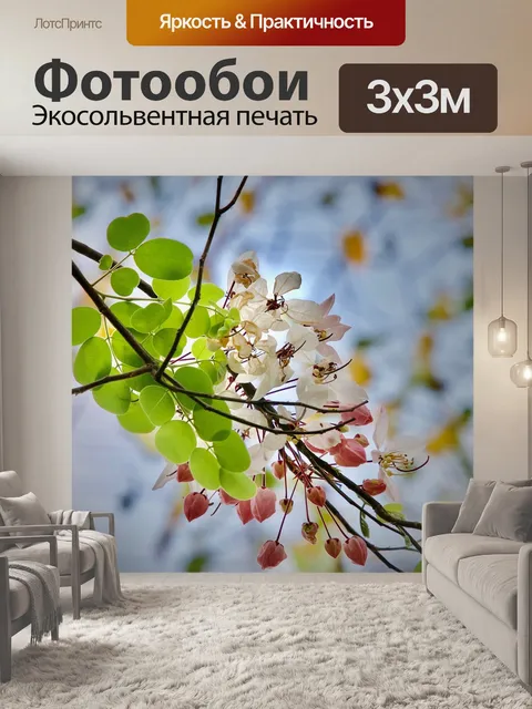 Фотообои Цветок