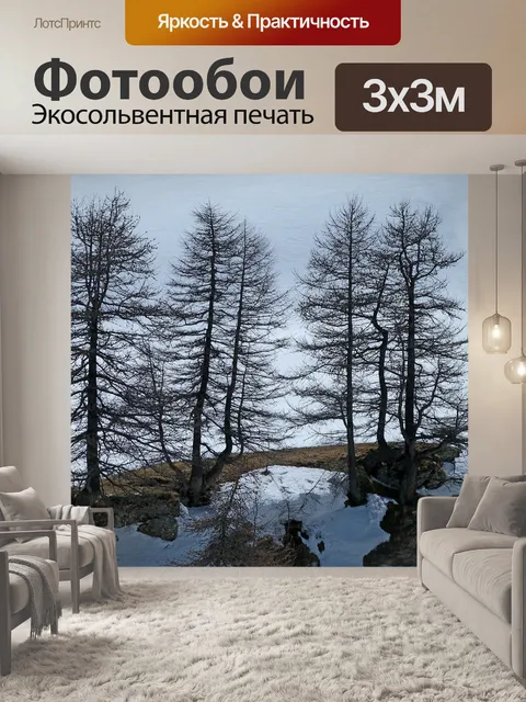 Фотообои Деревья