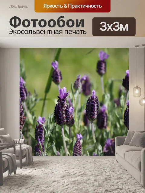 Фотообои Цветок