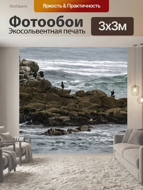 Фотообои бакланы у моря