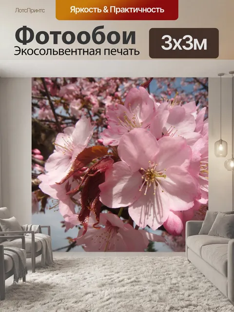 Фотообои Сакура цветы