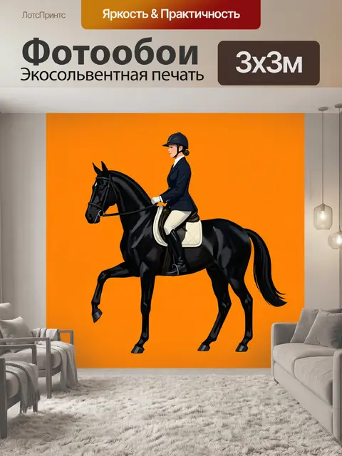 Фотообои Всадница на черной лошади