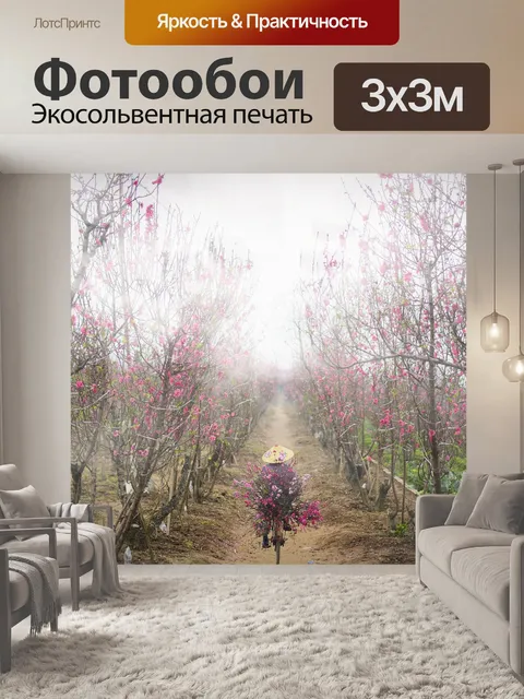 Фотообои Персик