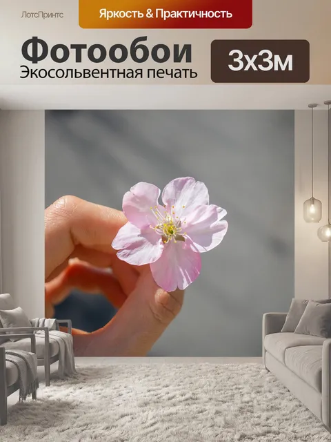 Фотообои Сакура