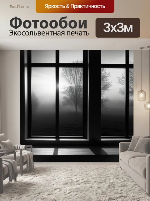 Фотообои пейзаж с окном фото чернобелый