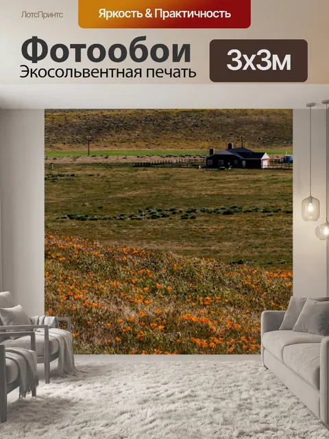 Фотообои Пейзаж оранжевых цветов