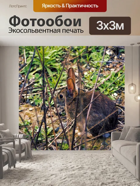Фотообои Кролик