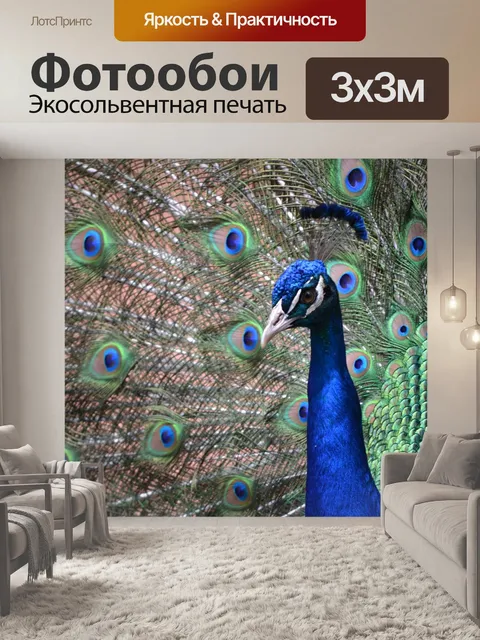 Фотообои Павлин