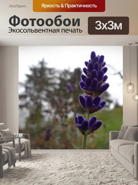 Фотообои Цветок