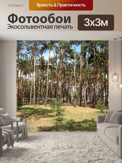 Фотообои Лес
