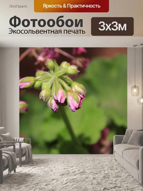 Фотообои Цветы