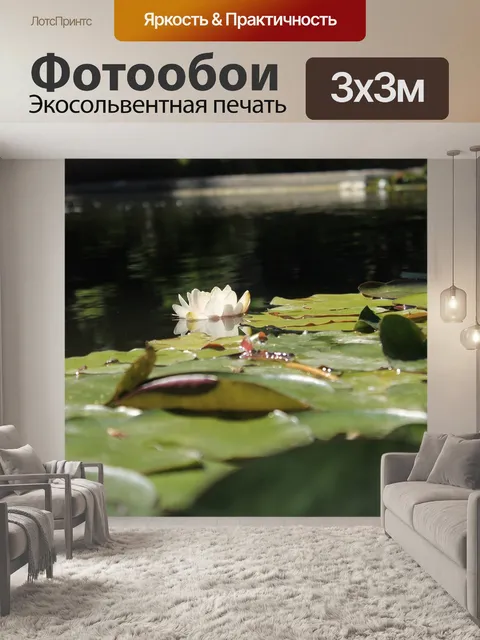 Фотообои Витория régia