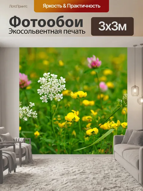 Фотообои Блоссом цветник природа