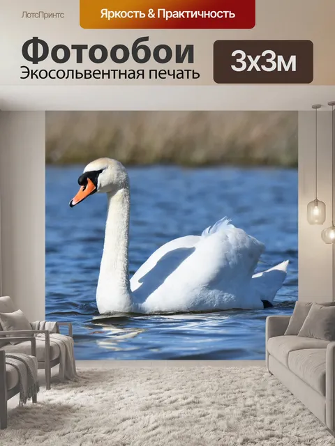 Фотообои Птицы
