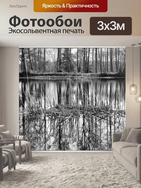 Фотообои Черно-белый