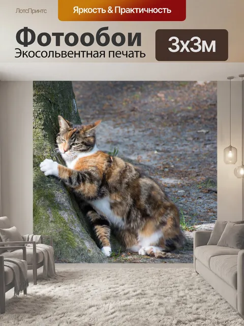 Фотообои Кошка