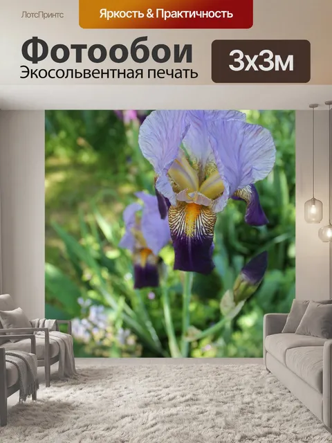 Фотообои Ирис