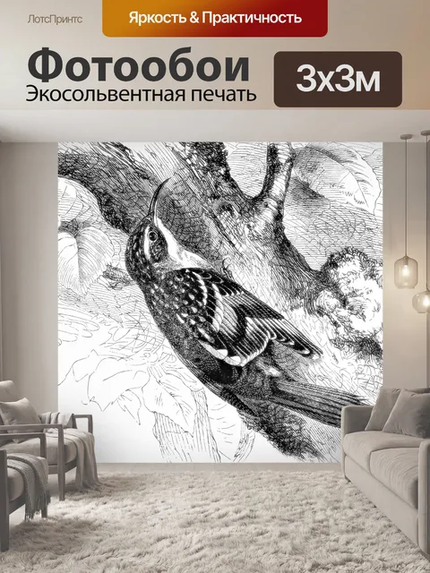 Фотообои Treecreeper