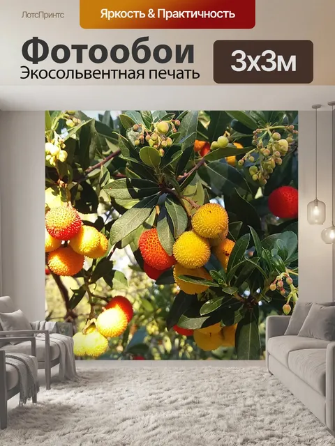 Фотообои Осень