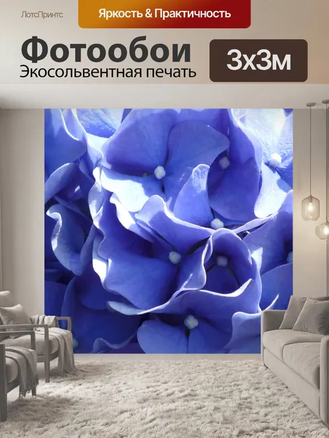 Фотообои Голубой гортензии