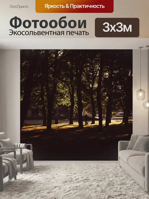 Фотообои Деревья