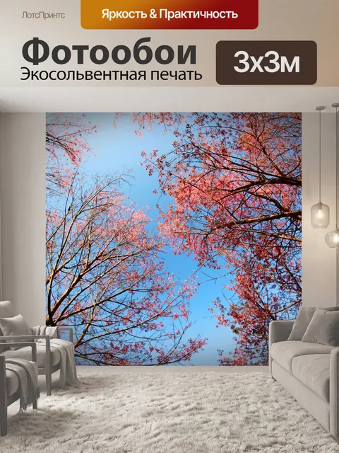 Фотообои Prunus cerasoides, дикая гималайская виш