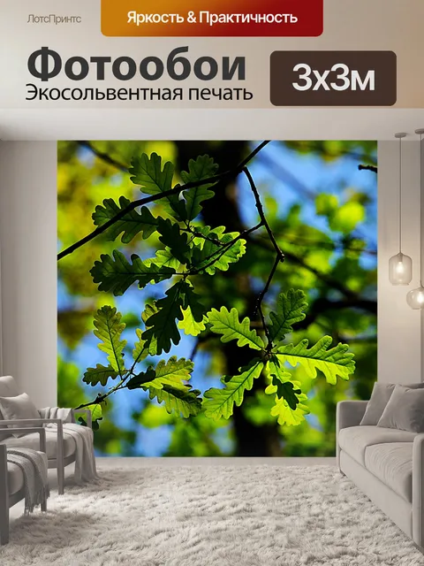 Фотообои Дуб
