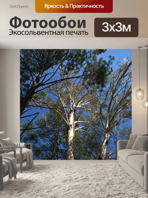 Фотообои Высокие деревья синей розы