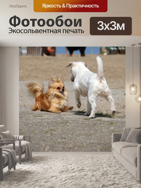 Фотообои Пляж