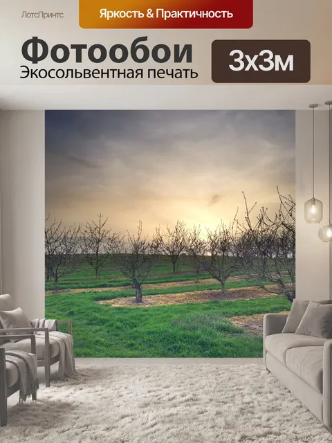 Фотообои Деревья