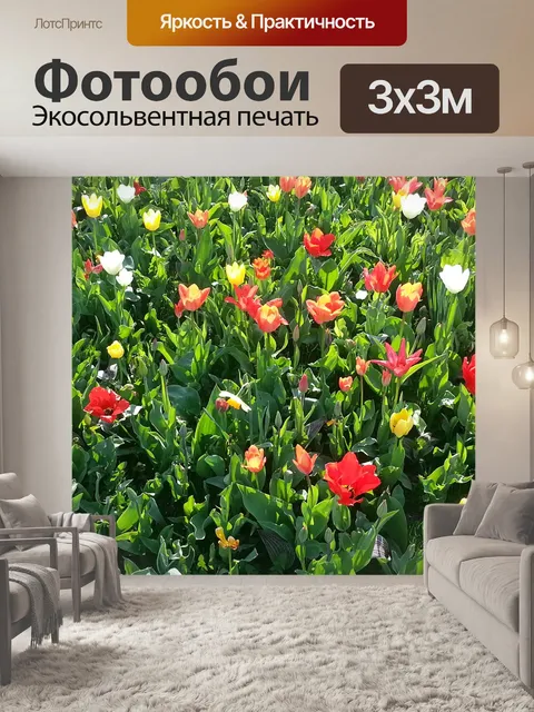 Фотообои Тюльпаны