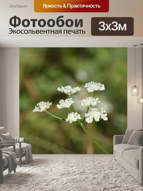 Фотообои Дикая изгородь петрушка и роса