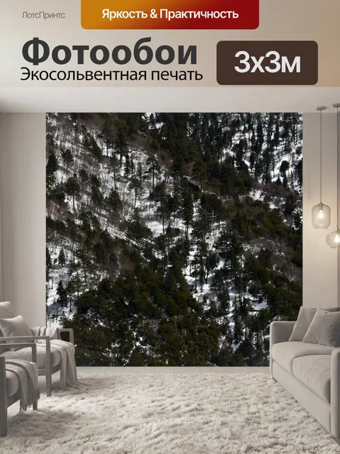 Фотообои лес на заснеженных горах