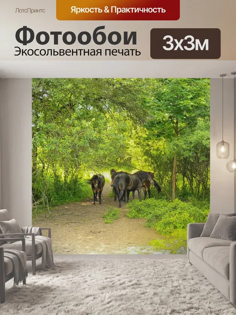 Фотообои Лошади