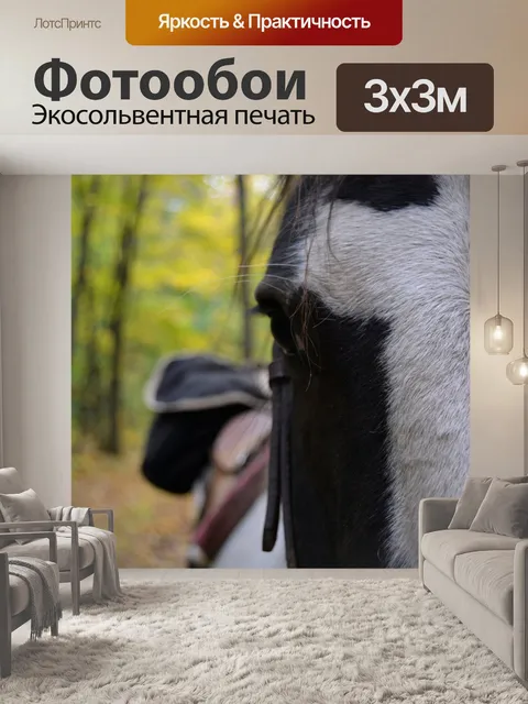 Фотообои Верховая лица