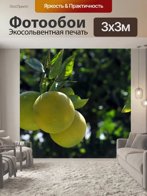 Фотообои Три Грейпфруты