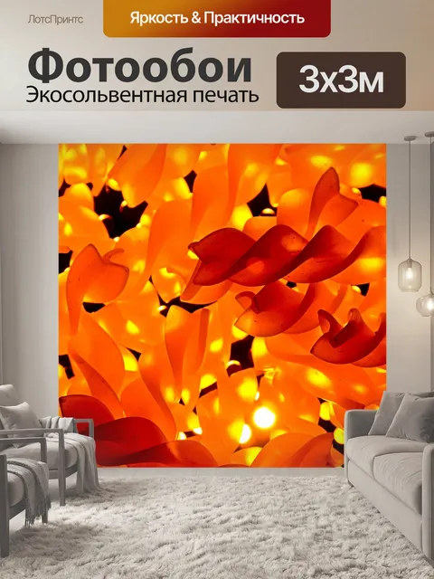 Фотообои Макаронные изделия