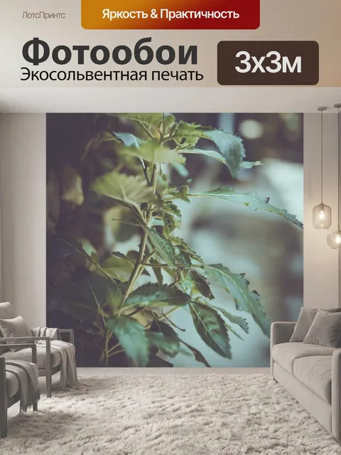 Фотообои Дерево